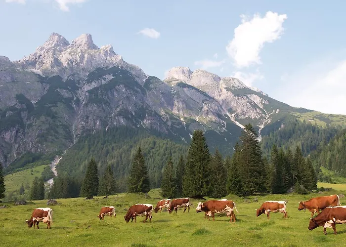 Aparthotel Am Aja Bergresort 4*